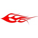 Flame 571